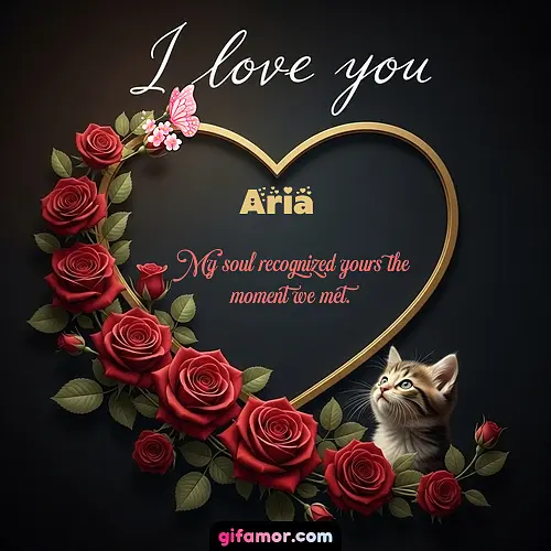 I love you Aria