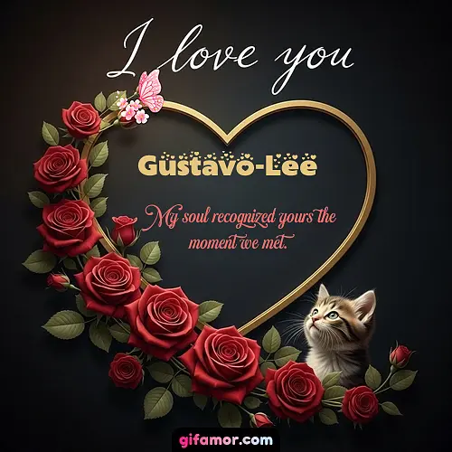 I love you Gustavo-Lee